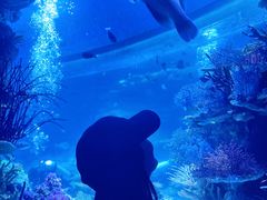 -黄金海岸水疗会所(凯利宾馆店)