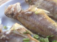 -小河无名面馆