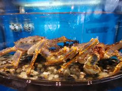 -莆鑫海鲜城(浏河店)