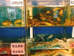 水产区-浪里白·家宴(安德门大街店)