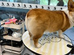 -萌宠主义宠物生活馆(金山路店)