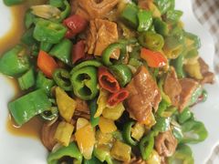 尖椒肥肠-瑜瑜饭馆