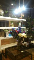 -轩舞汇·爵士舞街舞训练营