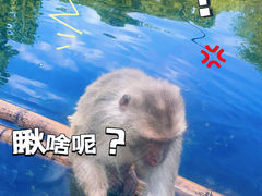 -红山森林动物园