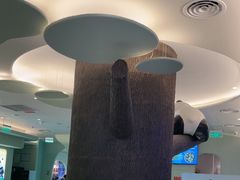 -眉州东坡·熊猫主题餐厅(枫蓝店)