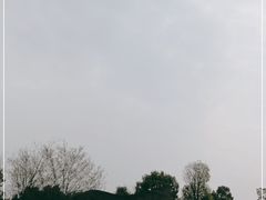 -秀丽东方