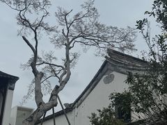 -朱新年·苏式汤团·面点(北寺塔店)