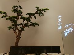 -松鹤楼·非遗·苏帮菜(融科店)