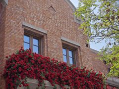 -天津五大道文化旅游区