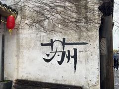 -MR鹅外