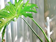 -沁麦源过桥米线(总店)