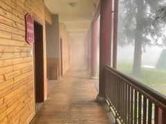 -武陵山森林公园