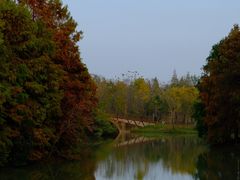 -上海海湾国家森林公园