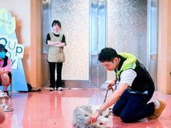 -帕帕拉兹宠物(亚洲旗舰店)