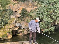 -如家酒店·neo(苏州拙政园狮子林店)