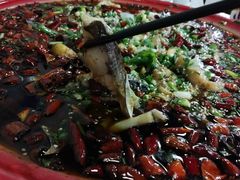 -东吴霸王兔(松青路店)