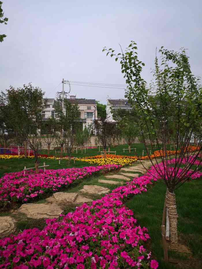 楚韵花香-"双11当天乘着美丽乡村直通车去浦口一日游.