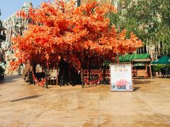 -郑州方特梦幻王国