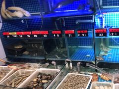 水产区-捞围鲜·港式打边炉(海阳路店)