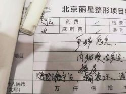 -北京丽星翼美医疗美容