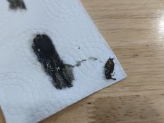 -豆丰香(建馨阁店)