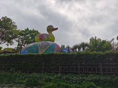 -新江湾城公园