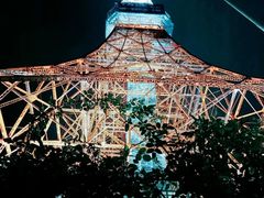 -东京塔海贼王主题公园