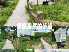 -白水寺森林公园