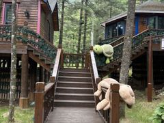 -洛阳白云山景区
