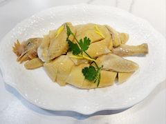 明本白切鸡（半只）-明本湛江鸡•海鲜小厨(陈家祠店)