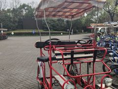 -上海海湾国家森林公园