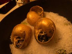-金蜗牛