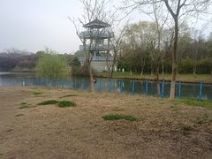 -苏州太湖国家湿地公园