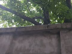 -书隐楼