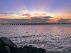 -宝安西湾红树林湿地公园