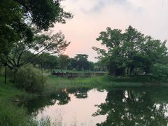 -福田红树林生态公园