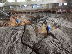 -自贡恐龙博物馆