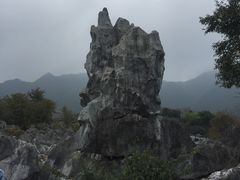-千岛湖石林
