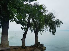 -捞渔河湿地公园