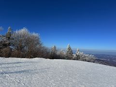 -亚布力新体委滑雪场