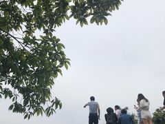 -火炉山森林公园
