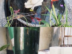 -拾壹cafe·工作室