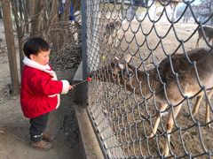 -西安秦岭野生动物园