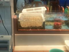 -皮记海鲜1995(寮步店)