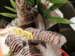 -领鲜天下·焗海鲜·花胶鸡(天目里店)