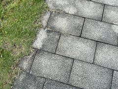 -广州神农草堂中医药博物馆