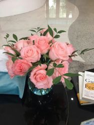 -新蝶变皮肤管理中心