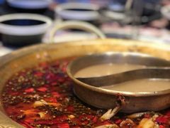 -哥老官重庆美蛙鱼头(虹口龙之梦店)