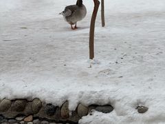 -水磨沟公园