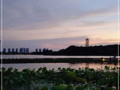 -暨阳湖生态园